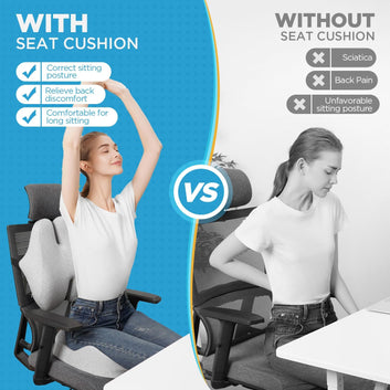 DEBIK Pro Seating Combo